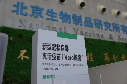 本土新增108例，防疫健康包與應對指南