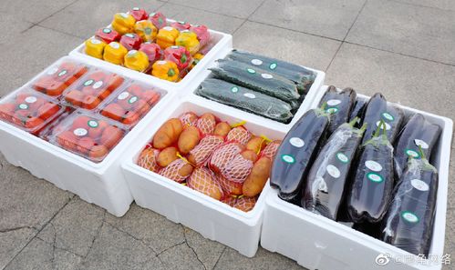 800萬愛心接力 鷹角網絡捐贈600余噸蔬菜助力上海防疫